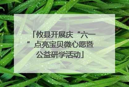 攸县开展庆“六一”点亮宝贝微心愿暨公益研学活动